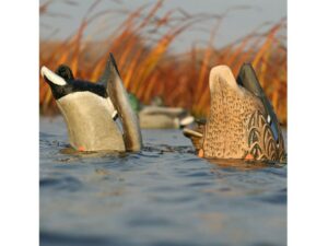 GHG Over-Size Mallard Butt-Up Feeder Duck Decoy Pack of 2 For Sale