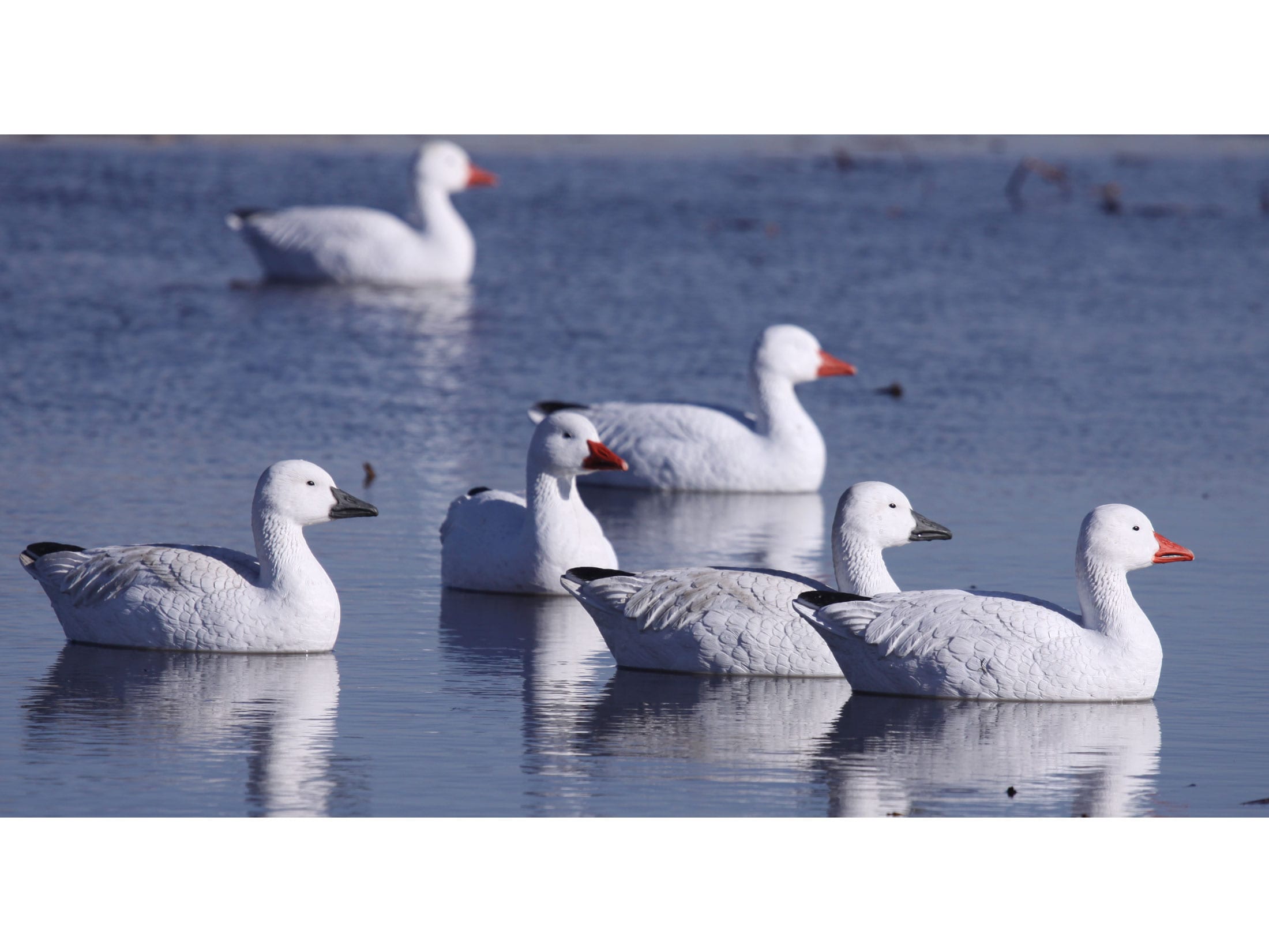 GHG Pro-Grade Active Floater Snow Goose Decoy Pack of 4 For Sale