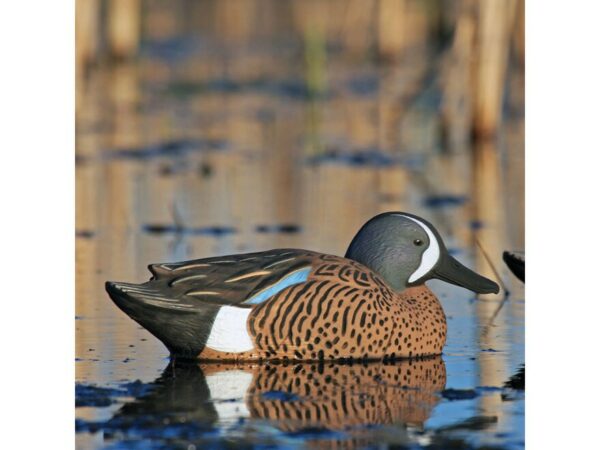 GHG Pro-Grade Blue-Winged Teal Duck Decoy Pack of 6 For Sale