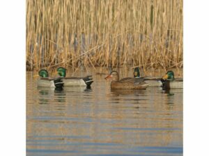 GHG Pro-Grade Mallard No-Head Feeder Duck Decoy Pack of 2 For Sale