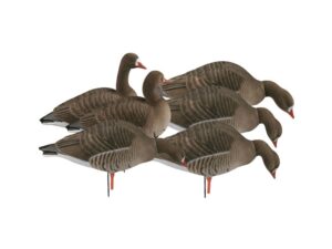 GHG Pro-Grade Specklebelly Harvester Full Body Goose Decoy Pack of 6 For Sale