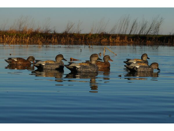 GHG Pro-Grade Weighted Keel Gadwall Duck Decoys Pack of 6 For Sale