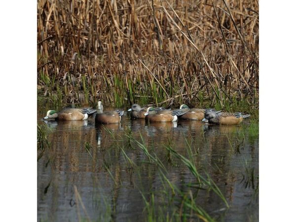 GHG Pro-Grade Wigeon Duck Decoy Pack of 6 For Sale