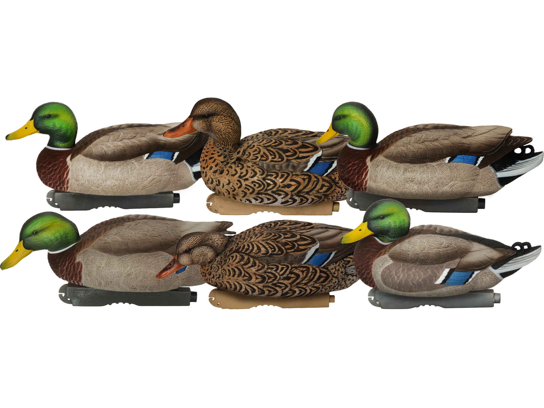 GHG XD Series Pro-Grade Harvester Mallard Duck Decoy Pack of 6 For Sale