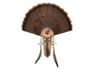 H.S. Strut Three Beard Turkey Mounting Kit For Sale