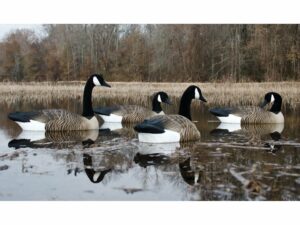 Higdon Alpha Magnum Goose Floater Canada Goose Decoy Polymer Pack of 4 For Sale