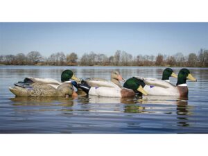 Higdon Battleship Foam Filled Flocked Head Mallard Duck Decoy Polymer Pack of 6 For Sale