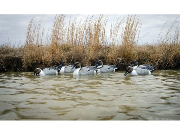 Higdon Battleship Foam Filled Pintail Drakes Only Duck Decoy Polymer Pack of 6 For Sale