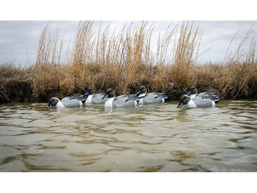 Higdon Battleship Foam Filled Pintail Drakes Only Duck Decoy Polymer Pack of 6 For Sale