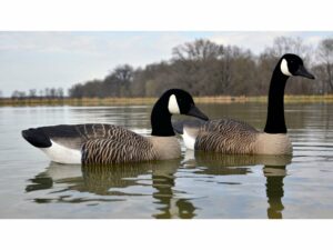 Higdon Full Size Floater Canada Goose Decoy Polymer Pack of 4 For Sale