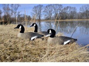 Higdon Full Size Half Shell Canada Goose Decoy Polymer Pack of 6 For Sale