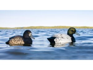 Higdon Standard Bluebill Duck Decoy Polymer Pack of 6 For Sale