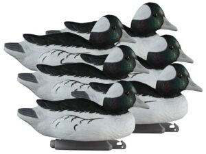 Higdon Standard Foam Filled Bufflehead Duck Decoy Polymer Pack of 6 For Sale