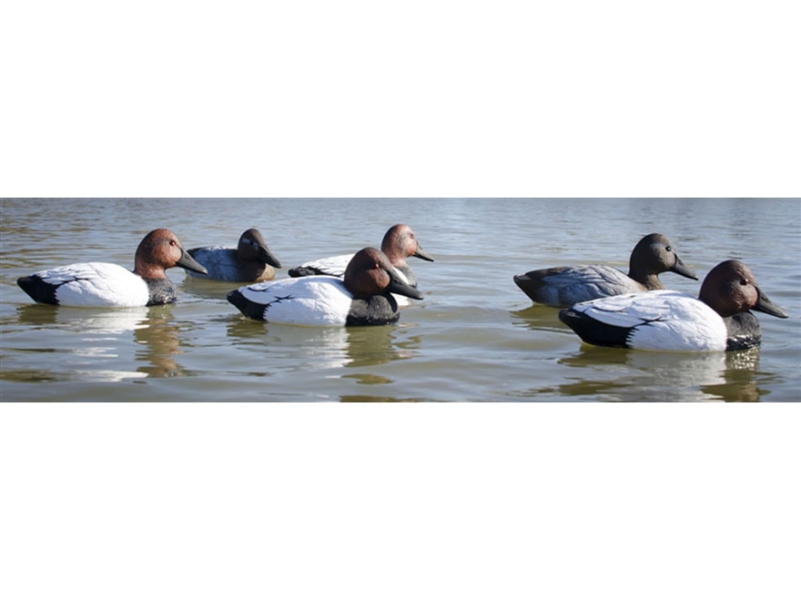 Higdon Standard Foam Filled Canvasback Duck Decoy Polymer Pack of 6 For Sale