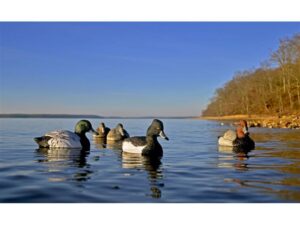 Higdon Standard Foam Filled Diver Pack Duck Decoy Polymer Pack of 6 For Sale