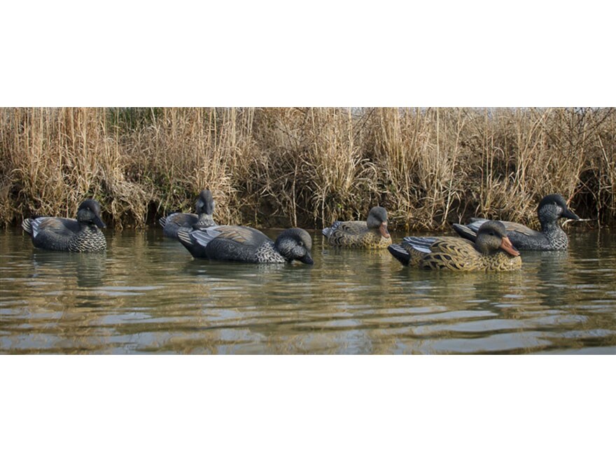 Higdon Standard Foam Filled Gadwall Duck Decoy Polymer Pack of 6 For Sale