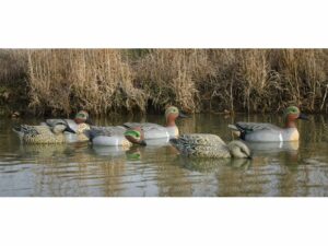 Higdon Standard Foam Filled Green Wing Teal Duck Decoy Polymer Pack of 6 For Sale