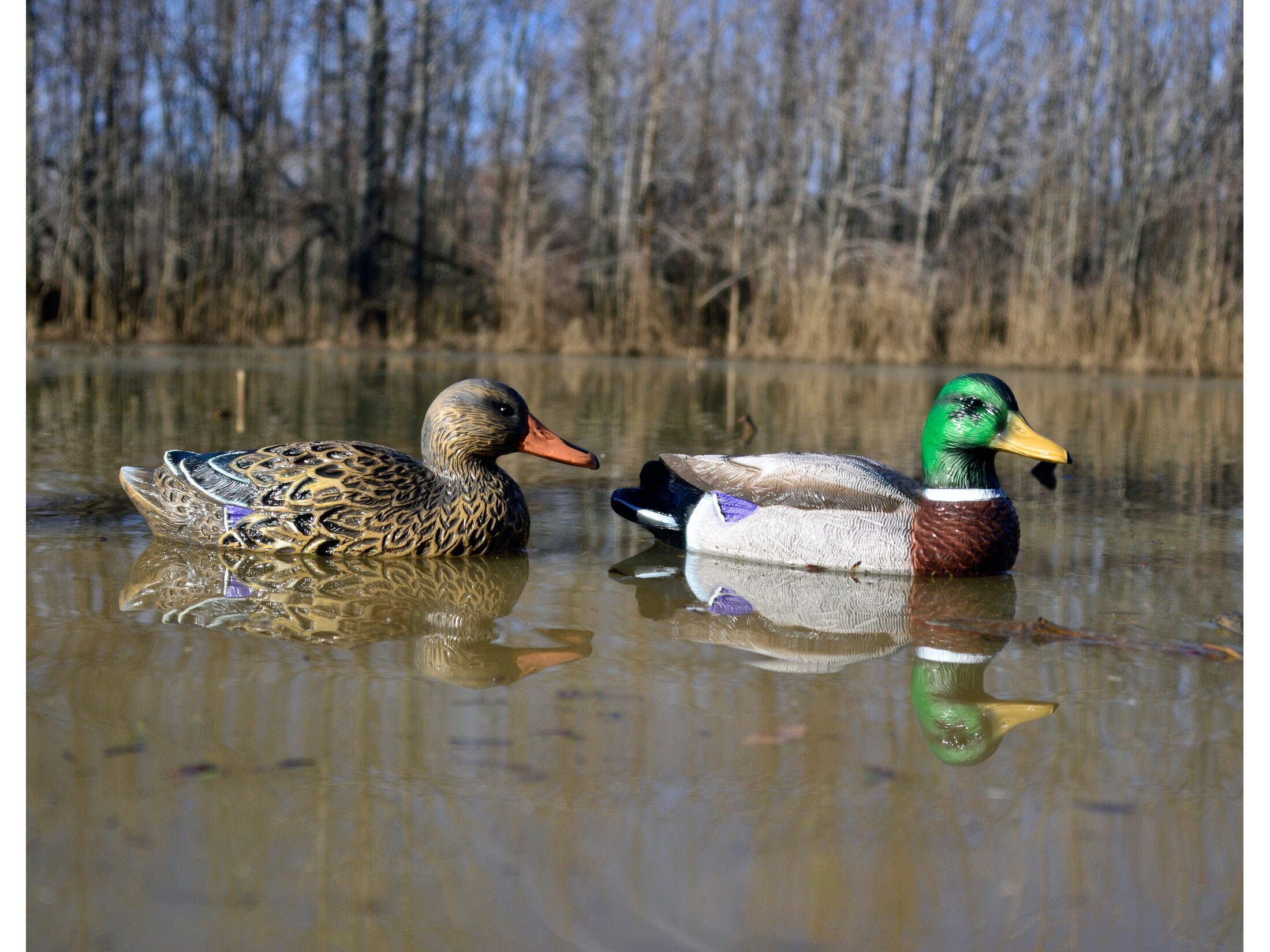 Higdon Standard Foam Filled Mallard Duck Decoy Polymer Pack of 6 For Sale