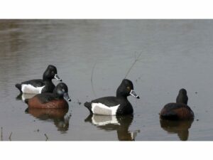 Higdon Standard Foam Filled Ringneck Duck Decoy Polymer Pack of 6 For Sale