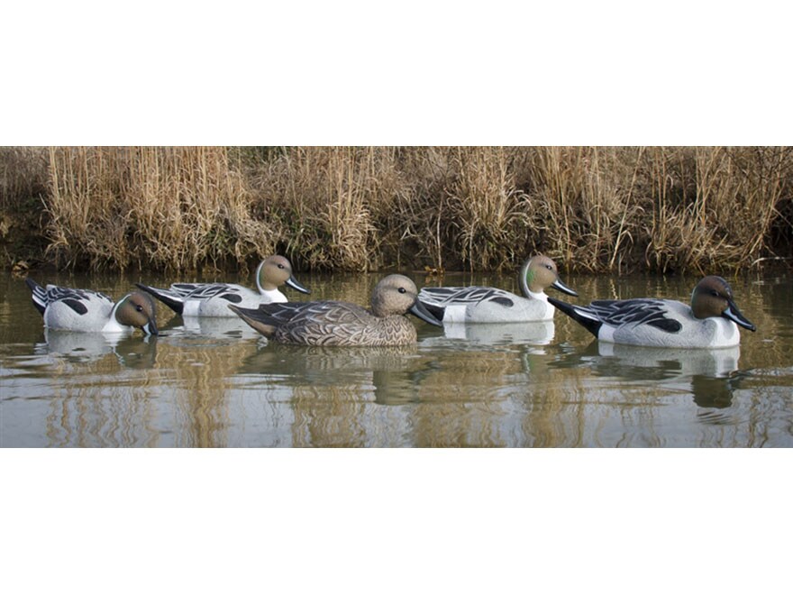 Higdon Standard Pintail Duck Decoy Polymer Pack of 6 For Sale