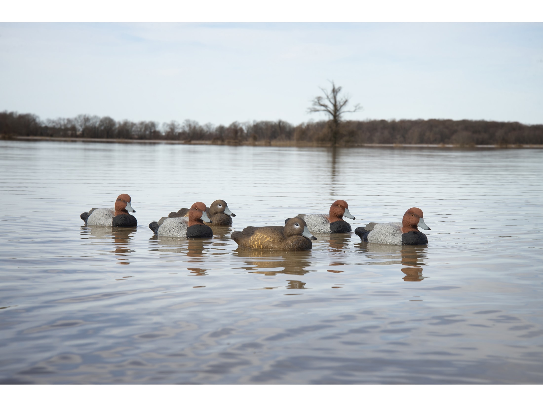 Higdon Standard Red Head Duck Decoy Polymer Pack of 6 For Sale
