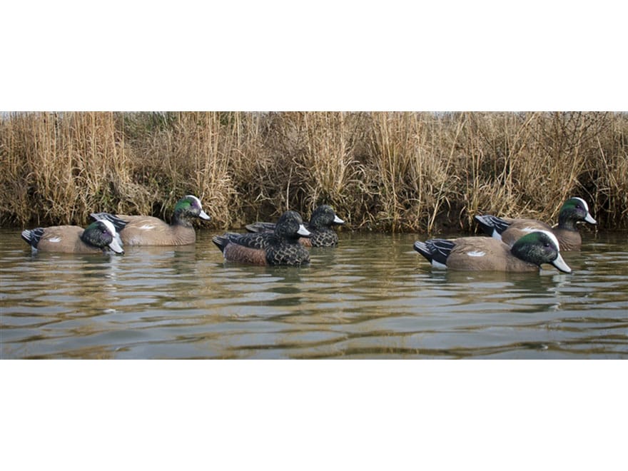 Higdon Standard Wigeon Duck Decoy Polymer Pack of 6 For Sale
