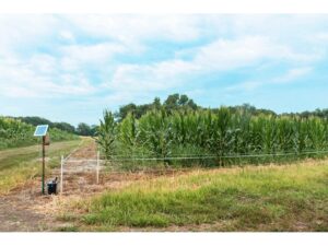 Hooyman Hot Zone Food Plot Fence Exclosure System For Sale