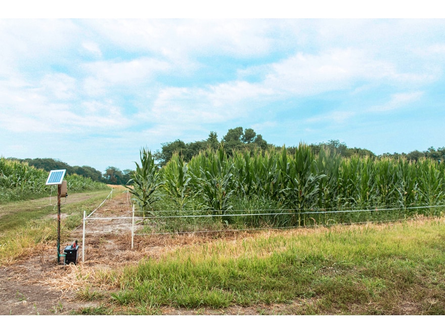 Hooyman Hot Zone Food Plot Fence Exclosure System For Sale