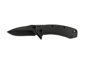 Kershaw CRYO BlackWash Assisted Opening Folding Pocket Knife 2.75″ 410 BlackWash Stainless Steel Blade and Handle For Sale