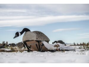 Lucky Duck Goose Chair Layout Blind For Sale