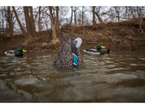 Lucky Duck Quiver Duck Butt HD Motion Hen Mallard Duck Decoy For Sale