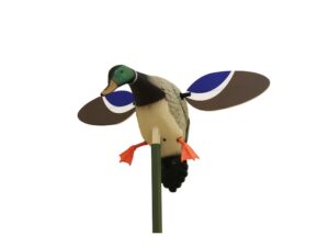 MOJO Baby Drake Motion Duck Decoy Polymer For Sale