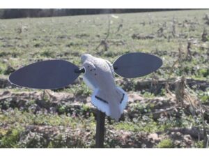 MOJO Elite Series Dove Motion Decoy For Sale