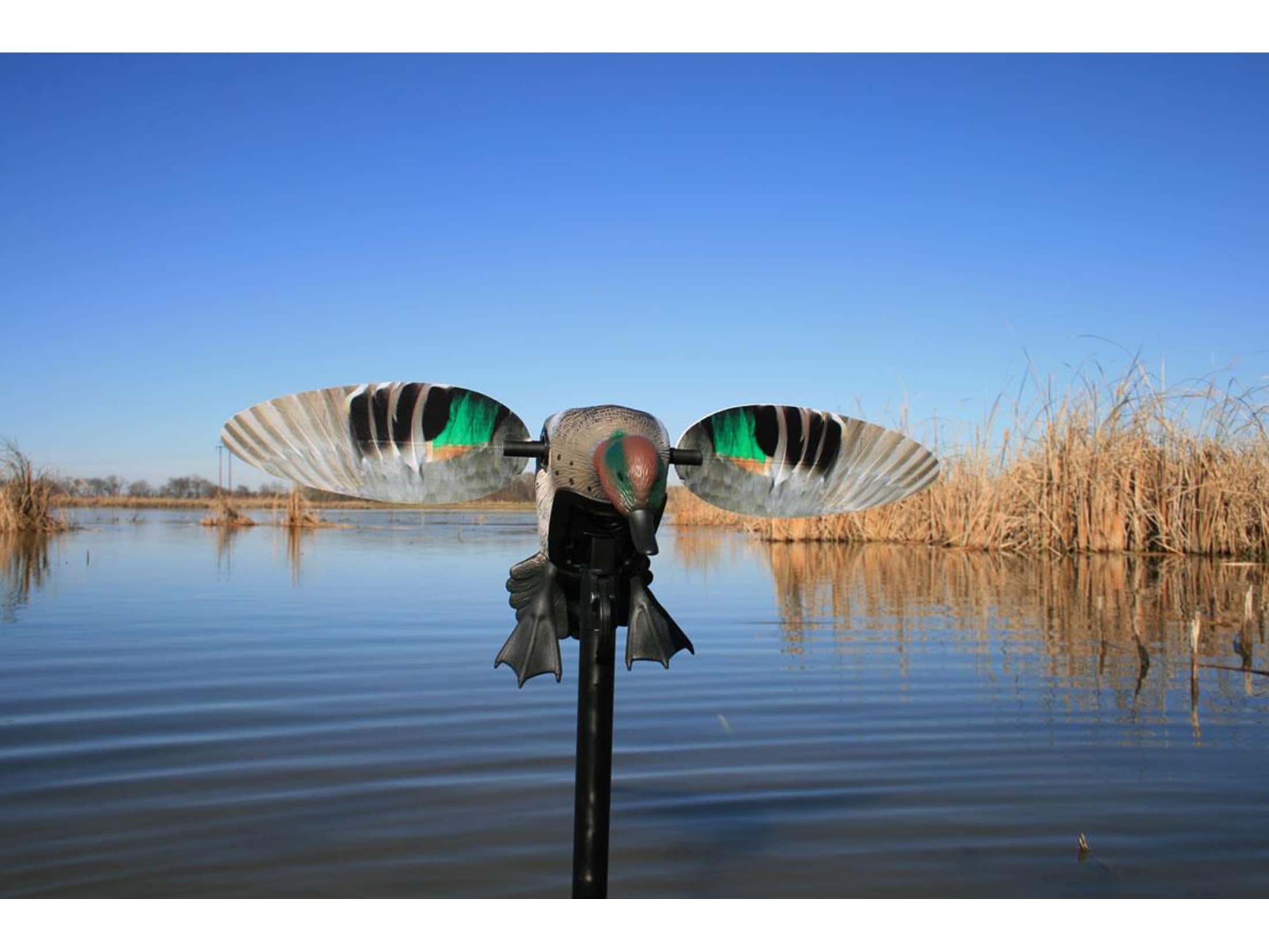 MOJO Elite Series Green Wing Teal Motion Duck Decoy Polymer For Sale