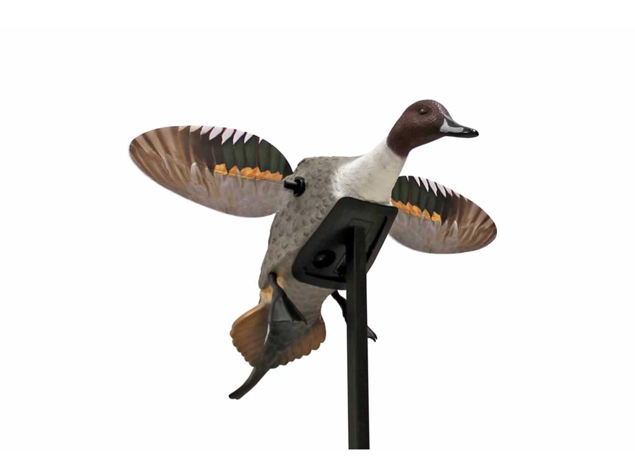MOJO Elite Series Pintail Motion Duck Decoy Polymer For Sale