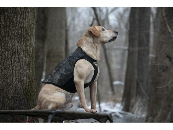 MOMarsh Versa Vest Dog Vest Panel For Sale
