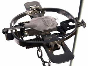 Minnesota Trapline HAGz Trap Stabilizer Pack of 12 For Sale