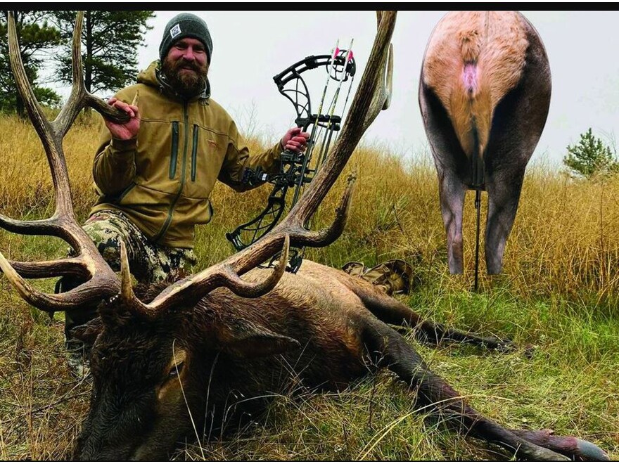 Montana Decoy Back Country Elk Decoy For Sale