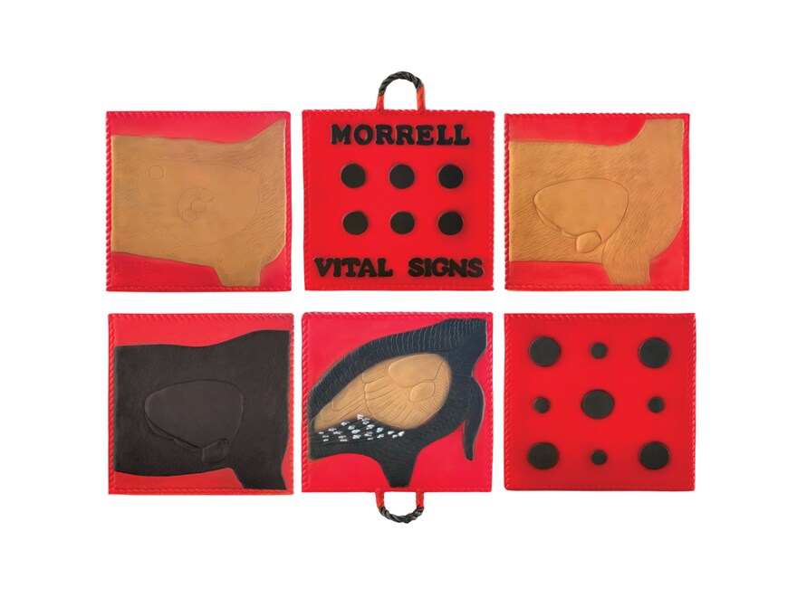 Morrell Vital Signs Dual Threat Combo 2 Archery Target For Sale