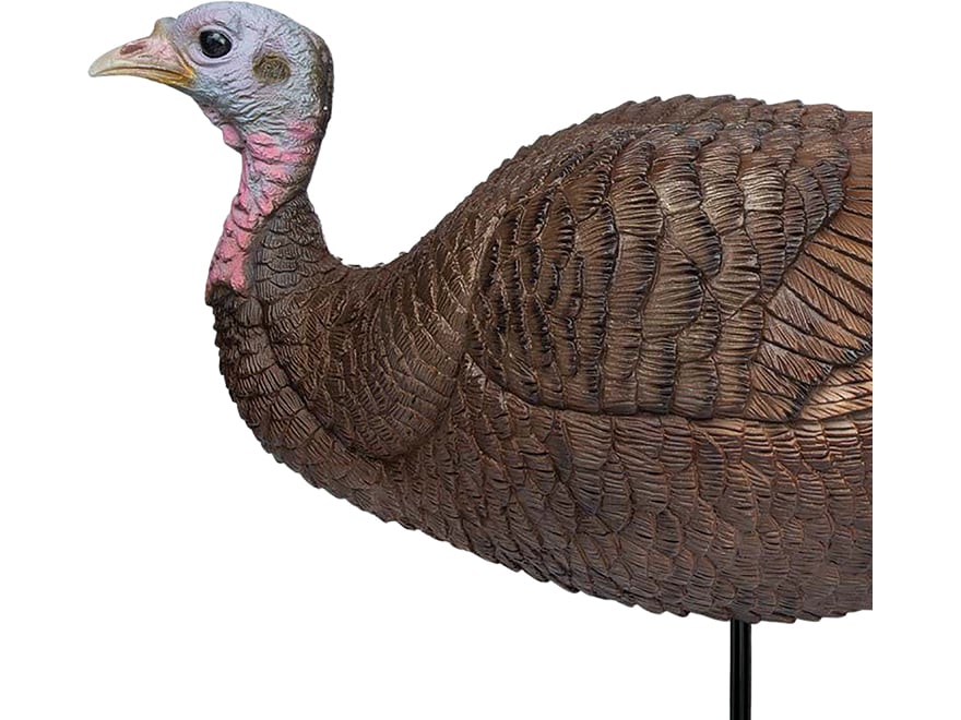 Primos Lil Gobstopper Hen Turkey Decoy For Sale