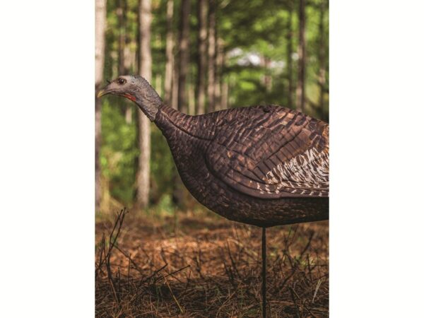 Primos Photoform Hen Turkey Decoy For Sale