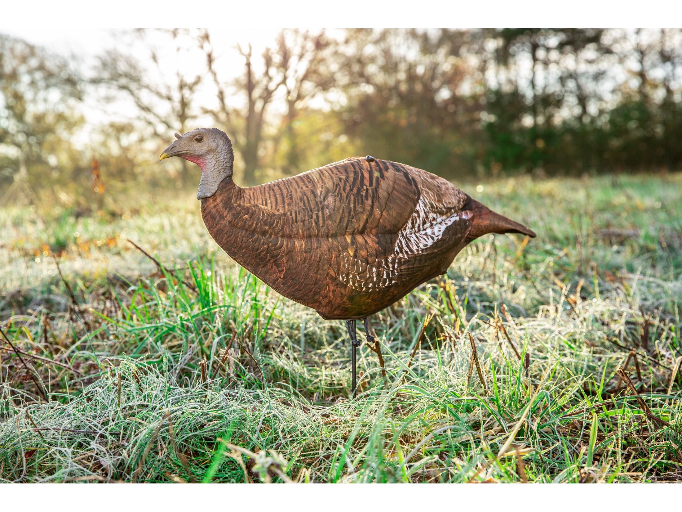 Primos Photoform Leading Hen Turkey Decoy For Sale