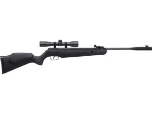 Remington Express Hunter Air Rifle with Scope For Sale