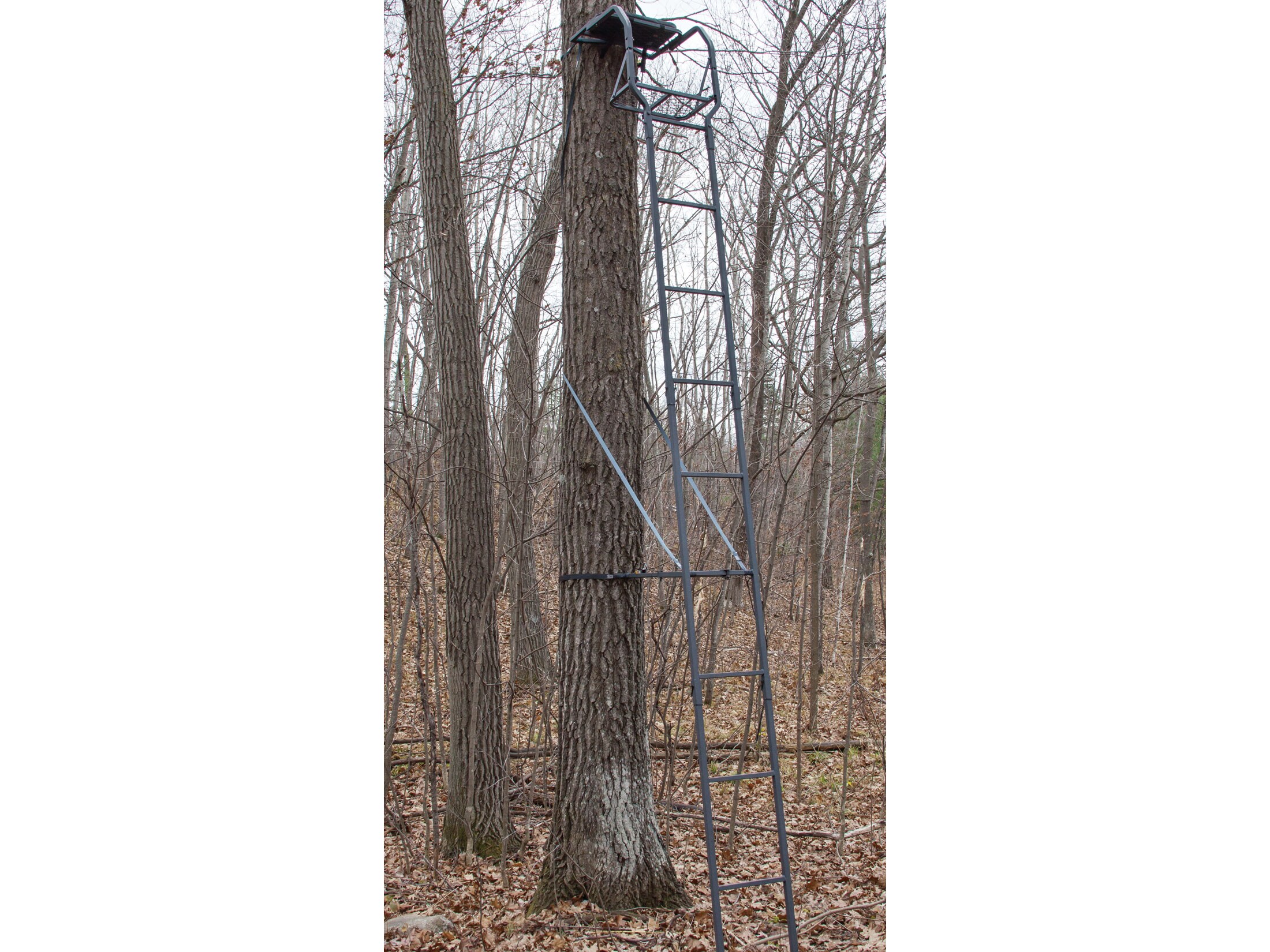 Rivers Edge Basic Ladder Treestand For Sale