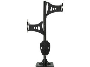 Skull Hooker Trophy Tree Pedestal Shoulder Mount For Sale