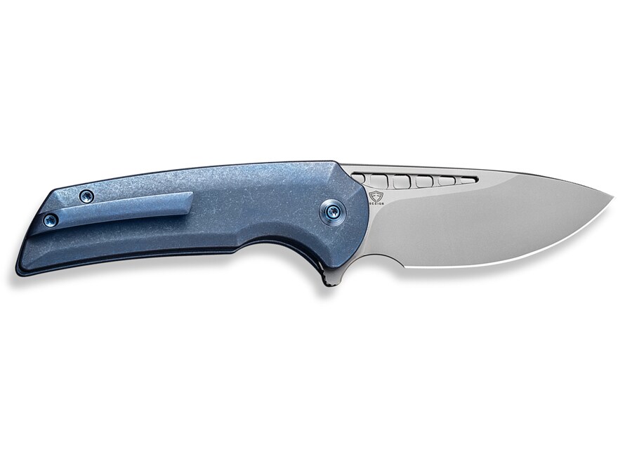 WE Knife Mini Malice Folding Knife CPM-20CV Steel For Sale