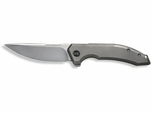 WE Knife Quixotic Folding Knife CPM-20CV Steel For Sale