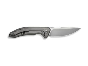 WE Knife Quixotic Folding Knife CPM-20CV Steel For Sale