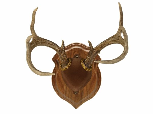 Walnut Hollow Country Deluxe Antler Mounting Kit For Sale