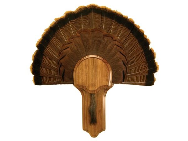 Walnut Hollow Country Deluxe Turkey Mounting Kit For Sale